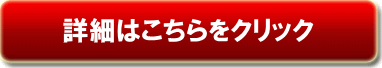 GA[uVHOW TO DVD̏ڍ